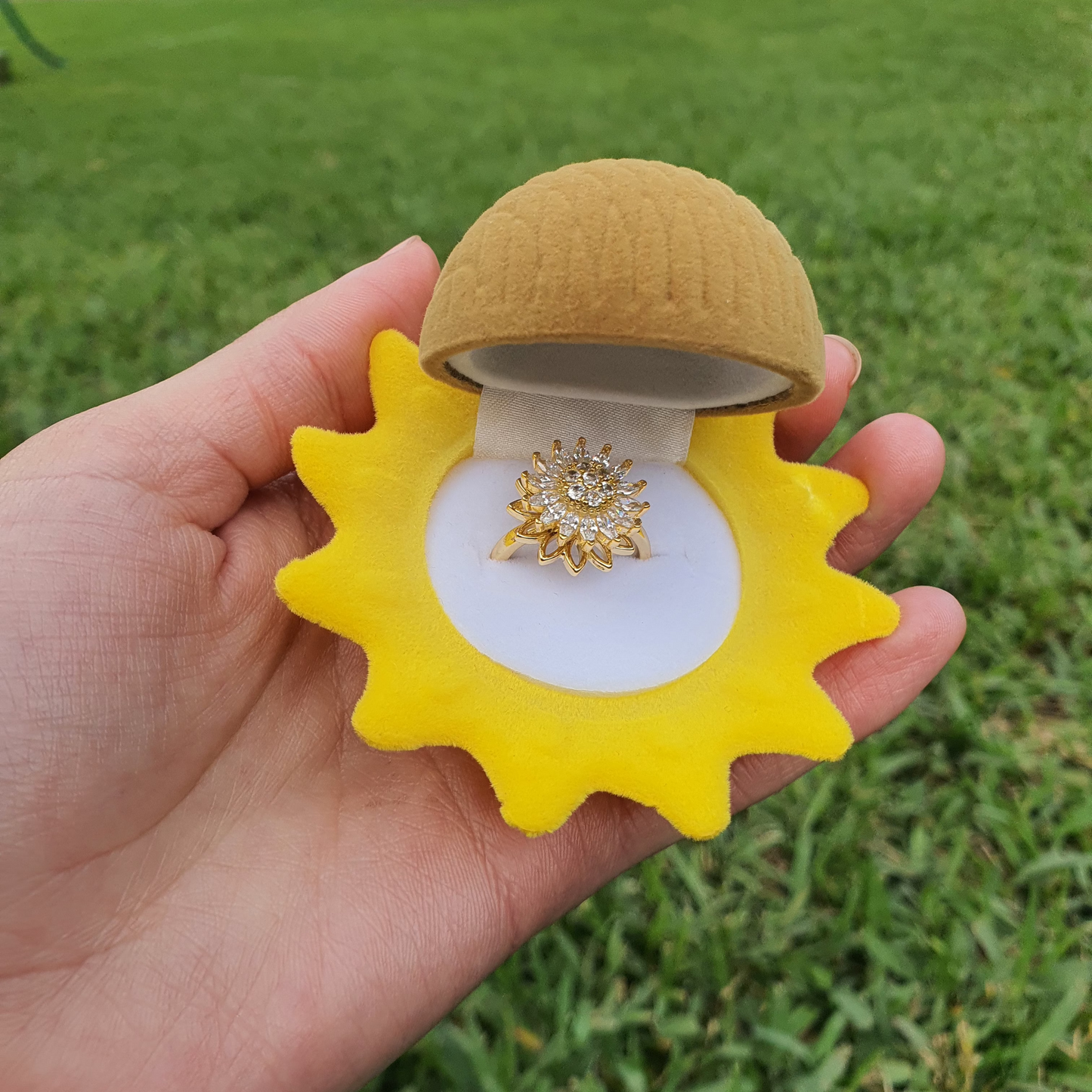 𝗕𝗼𝘅 𝗚𝗶𝗿𝗮𝘀𝗼𝗹🌻