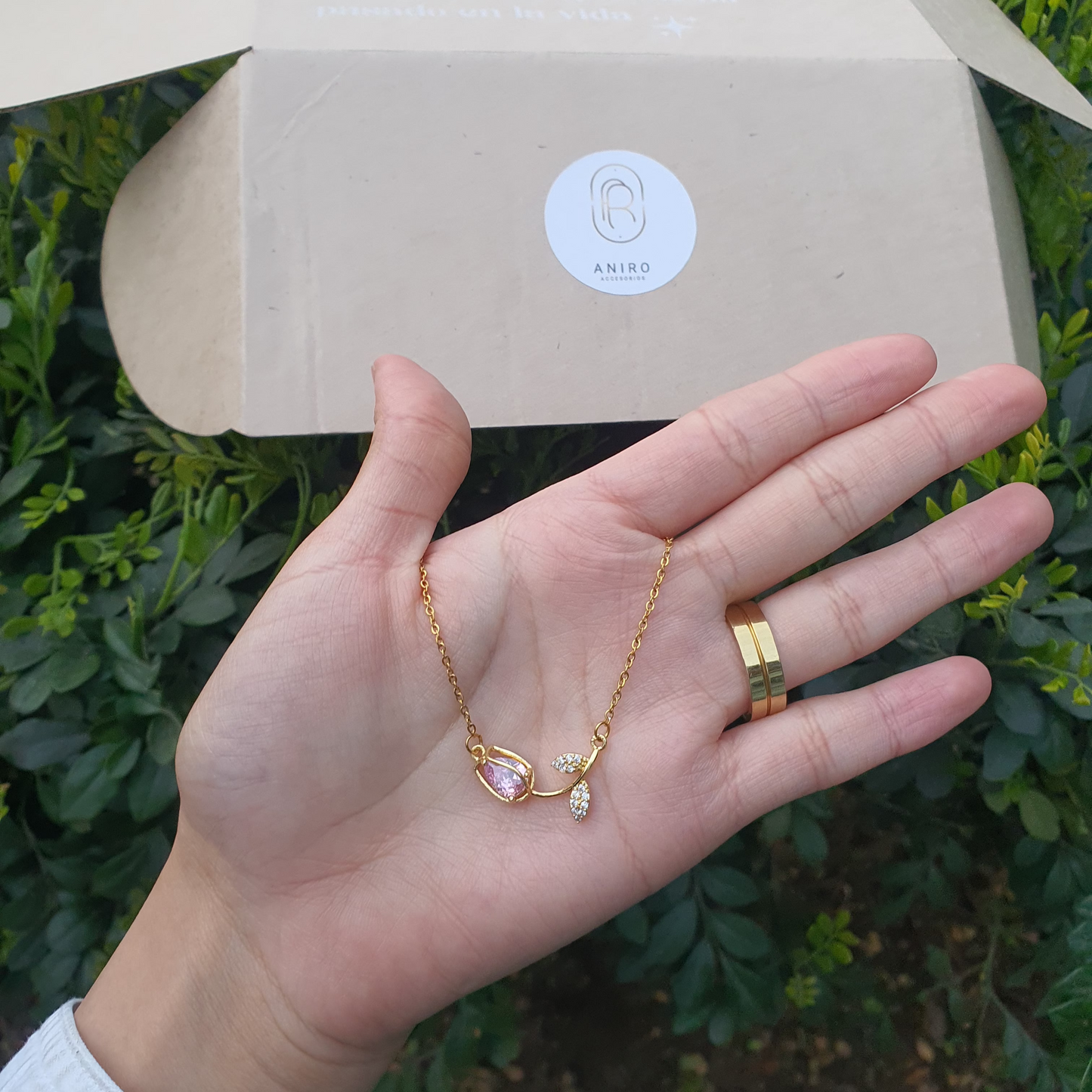 𝗕𝗼𝘅 𝘁𝘂𝗹𝗶𝗽𝗮𝗻🌷