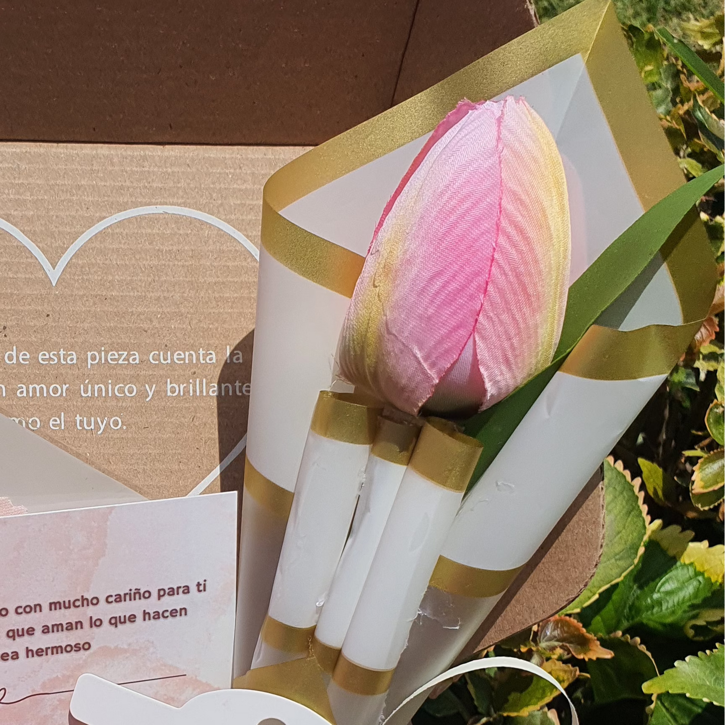𝗦𝗲𝘁 𝘁𝘂𝗹𝗶𝗽𝗮𝗻🌷