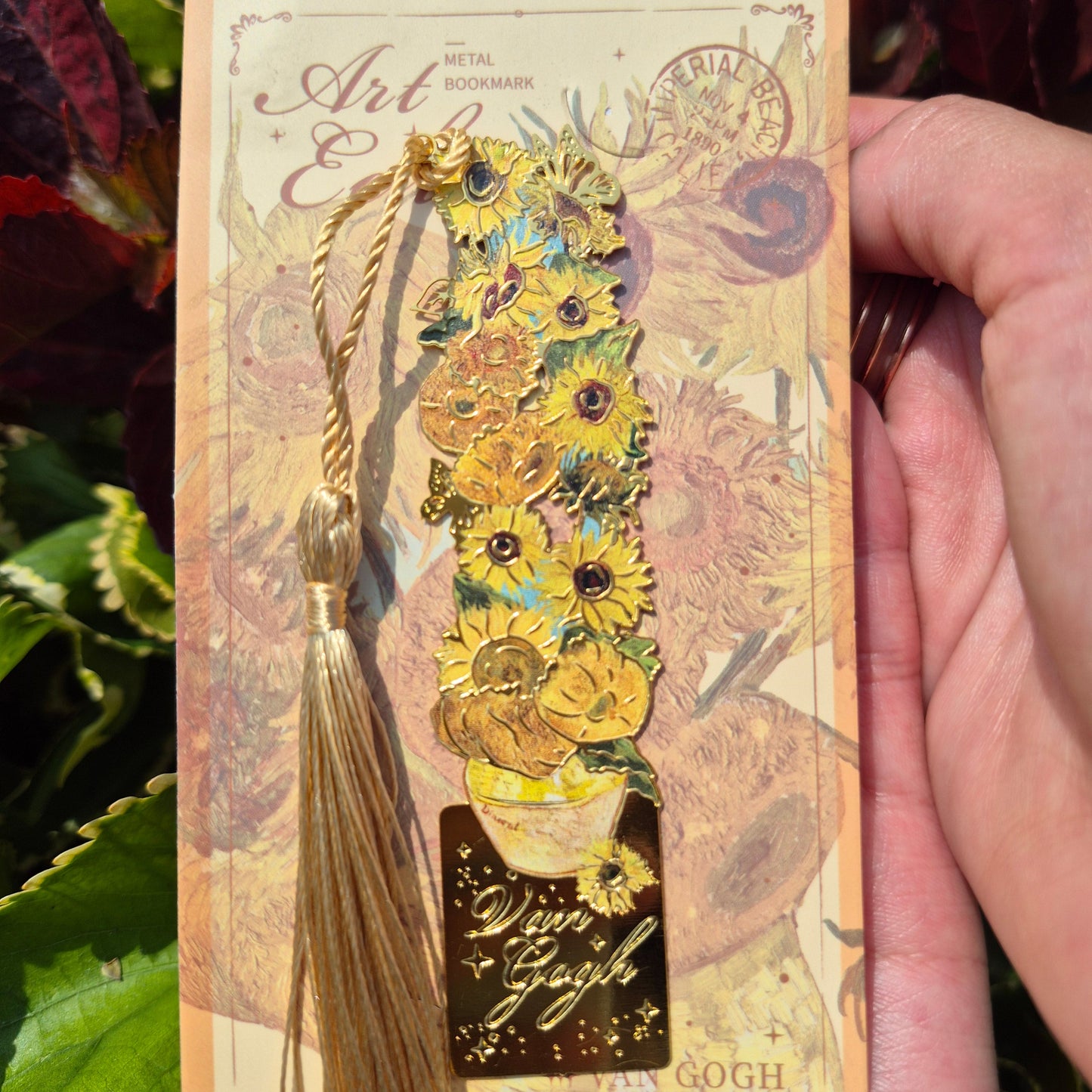 𝗦𝗲𝘁 𝗚𝗶𝗿𝗮𝘀𝗼𝗹🌻