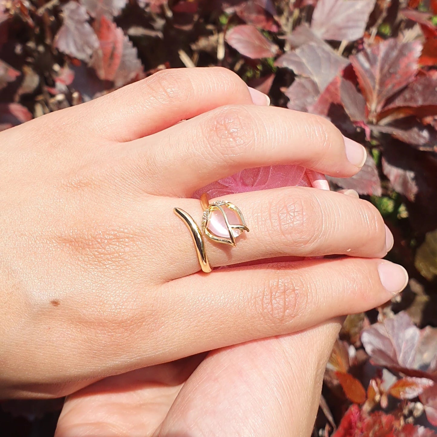 𝗕𝗼𝘅 𝘁𝘂𝗹𝗶𝗽𝗮𝗻🌷