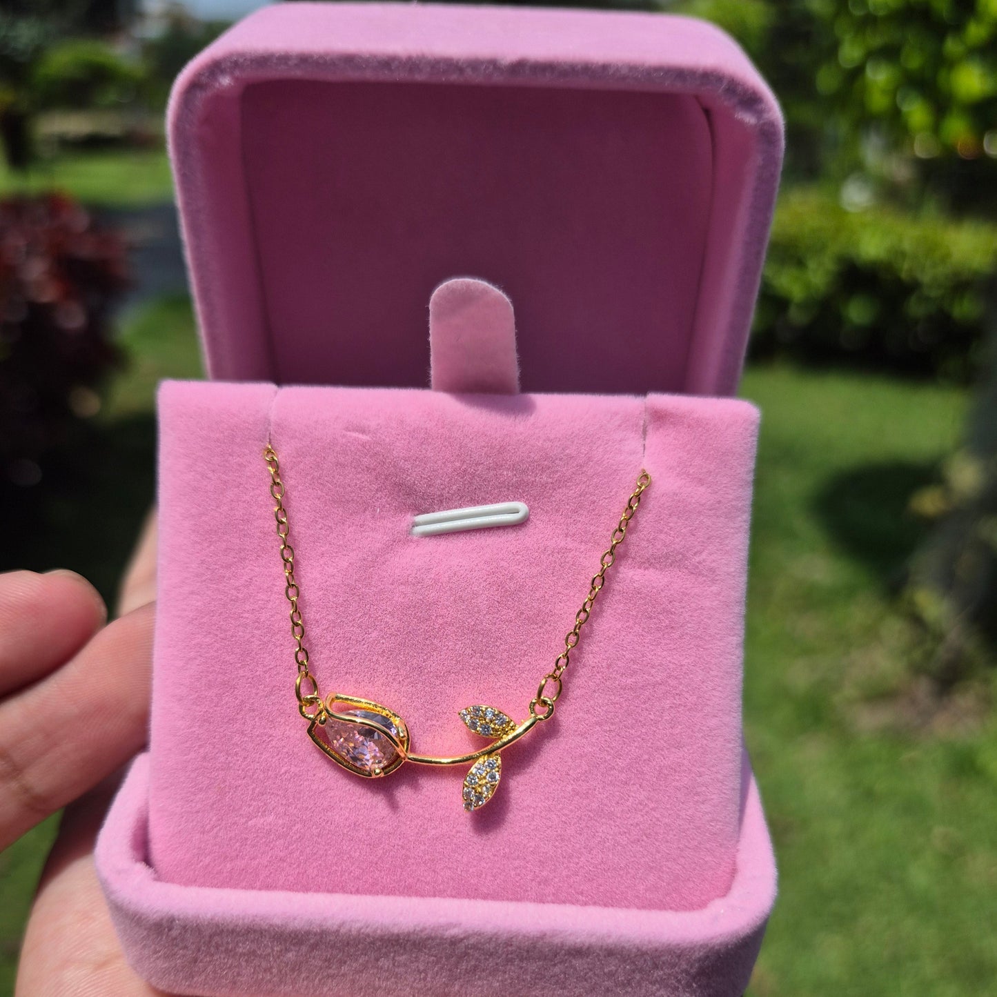 𝗕𝗼𝘅 𝘁𝘂𝗹𝗶𝗽𝗮𝗻🌷